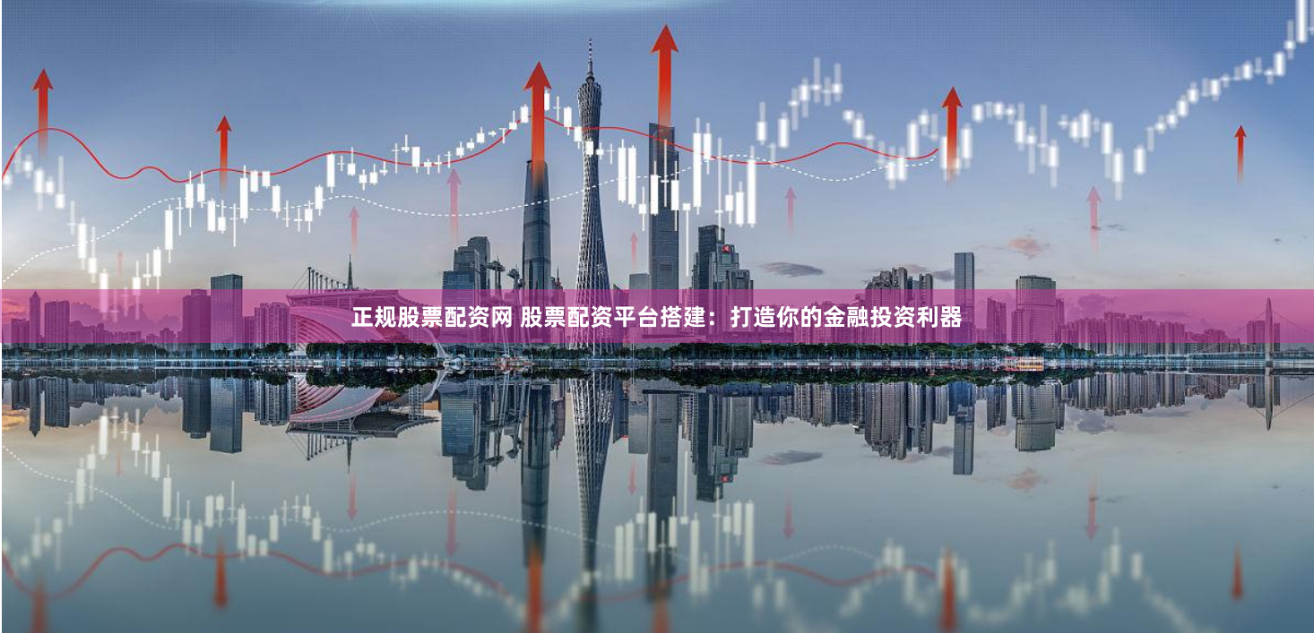 正规股票配资网 股票配资平台搭建：打造你的金融投资利器