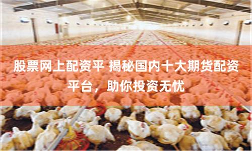 股票网上配资平 揭秘国内十大期货配资平台，助你投资无忧