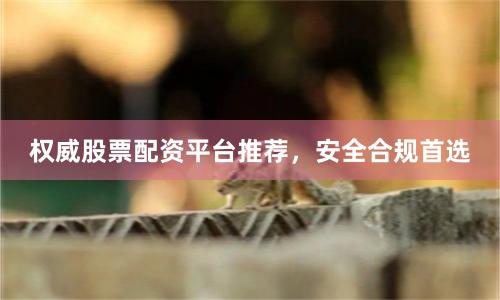 权威股票配资平台推荐，安全合规首选
